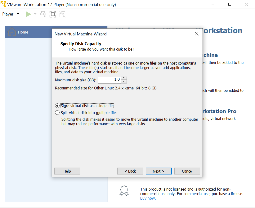 Disk Capacity VM