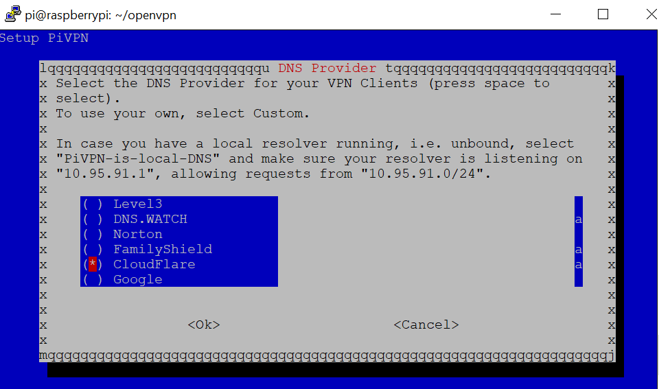 Open VPN setup