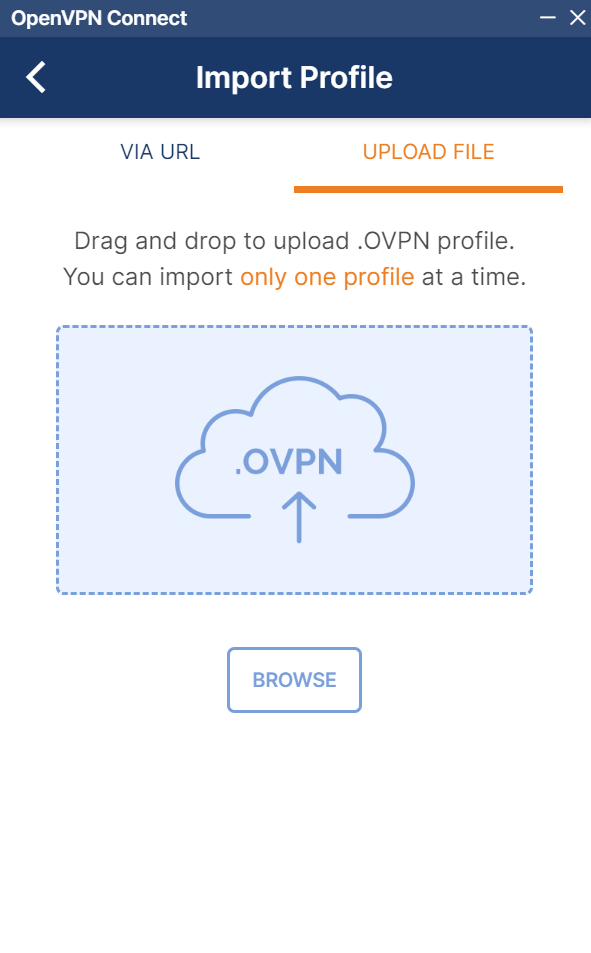 Open VPN Profile
