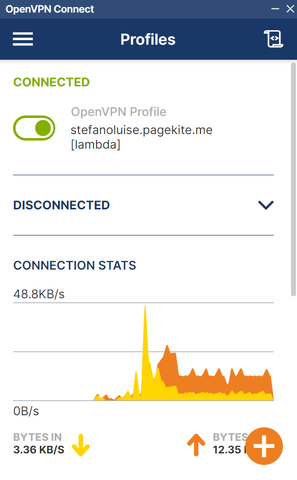 Open VPN connected